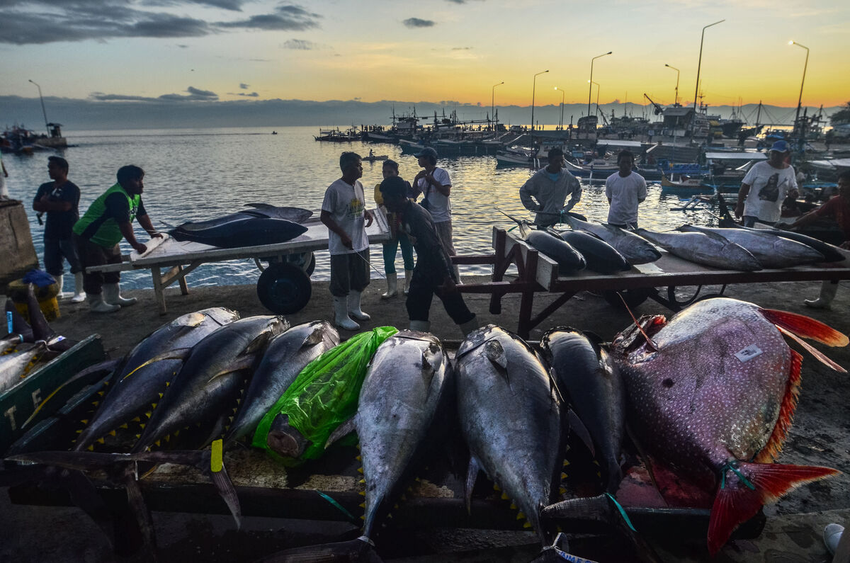 The General Santos FishPort in the Philippines.