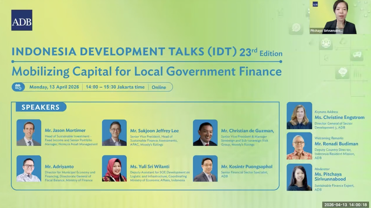 Mobilizing Capital for Local Government Finance Webinar screenshot